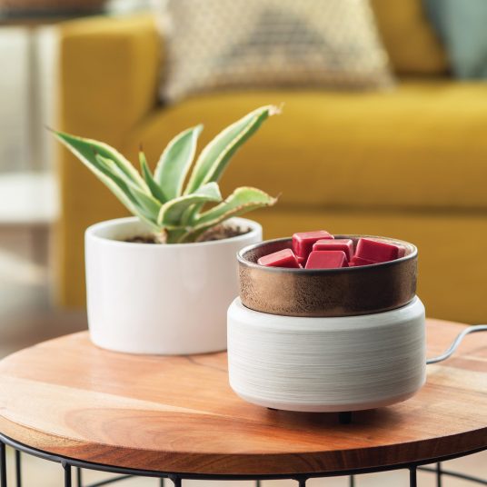 White Washed Bronze 2-in-1 Wax/Candle Warmer